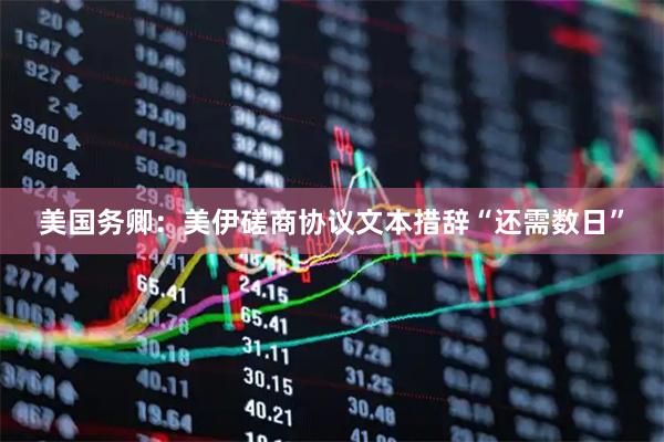 美国务卿：美伊磋商协议文本措辞“还需数日”